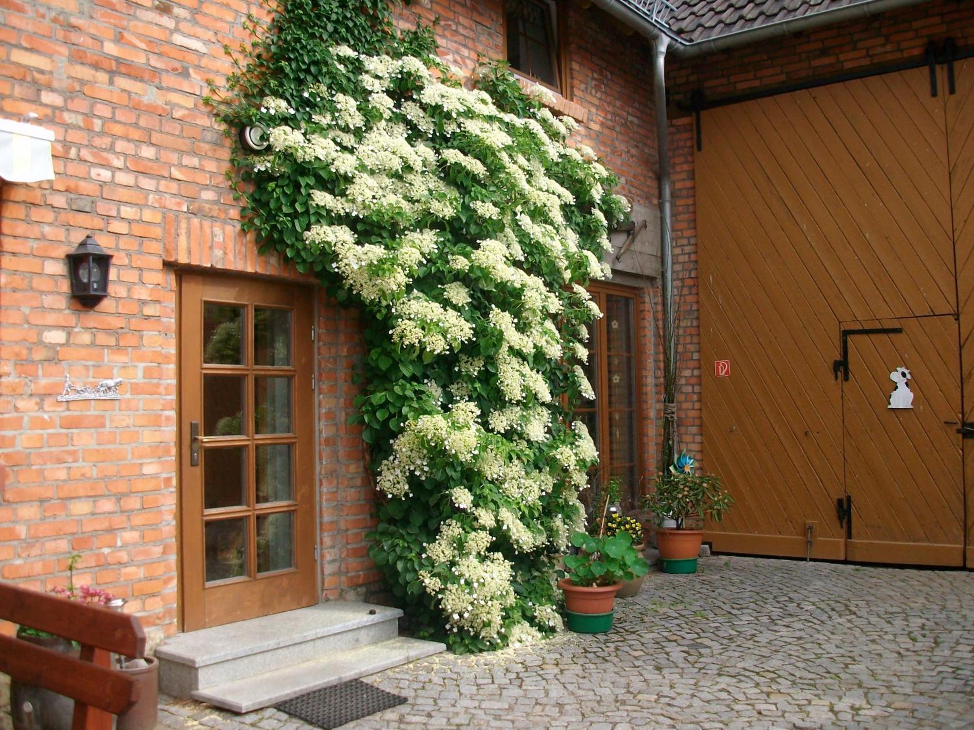 Kronenburghof Gasthof